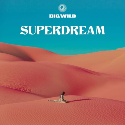 Big Wild - Superdream vinyl cover