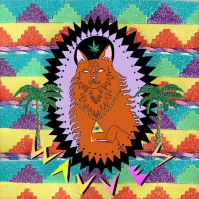 Wavves - King Of The Beach vinyl cover