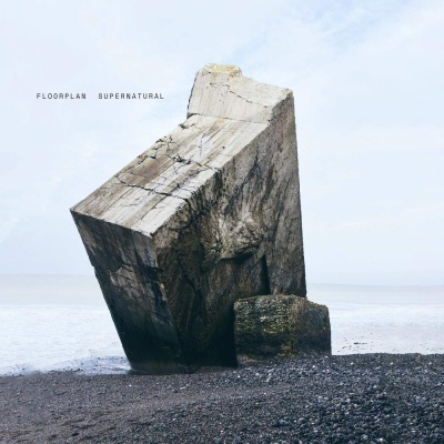 Floorplan - Supernatural vinyl cover