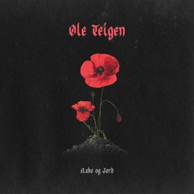 Ole Teigen - Aske Og Jord vinyl cover