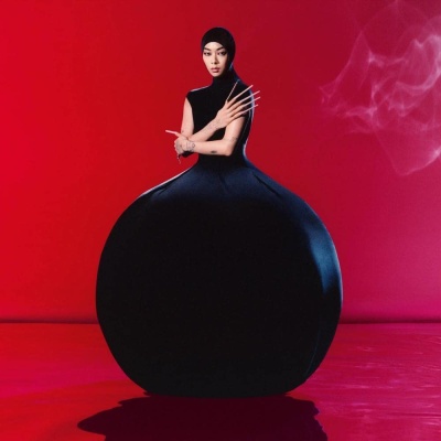Rina Sawayama - Hold The Girl vinyl cover