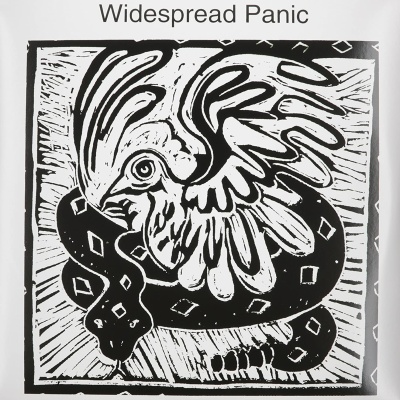 Widespread Panic - Widespread Panic vinyl cover