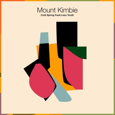 Mount Kimbie - Cold Spring Fault Less Youth vinyl cover