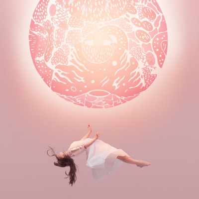 Purity Ring - Another Eternity vinyl cover