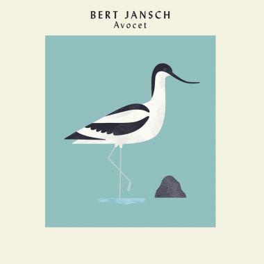 Cover art for Bert Jansch - Avocet