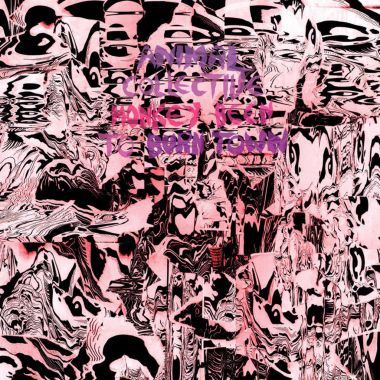 Cover art for Animal Collective - Monkey Been To Burn Town