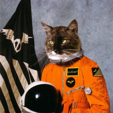 Cover art for Klaxons - Surfing The Void